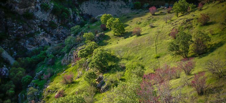 بهترین زمان سفر به دره ارغوان