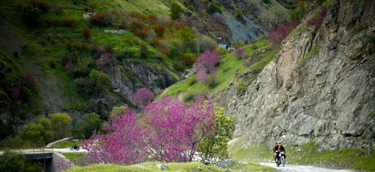 پیاده روی در دره ارغوان