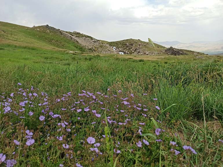 موقعیت مکانی دریاچه دالامپر