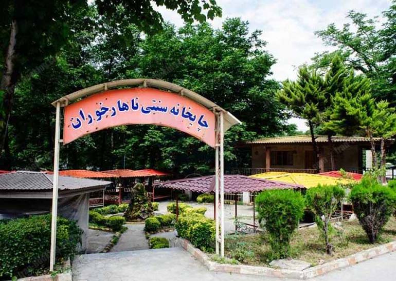 جنگل ناهارخوران گرگان و داستانی از یک رویای فراموشنشدنی 16 رستوران-و-کافی-شاپ ناهارخوران