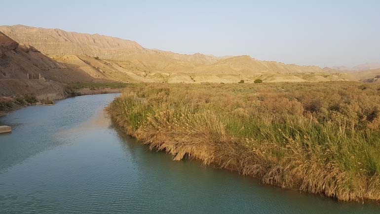 نخیلات