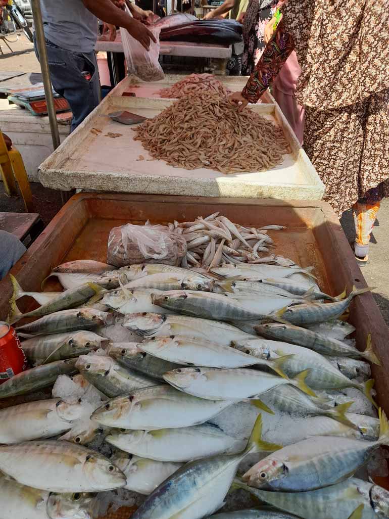 بازار ماهی بندرعباس