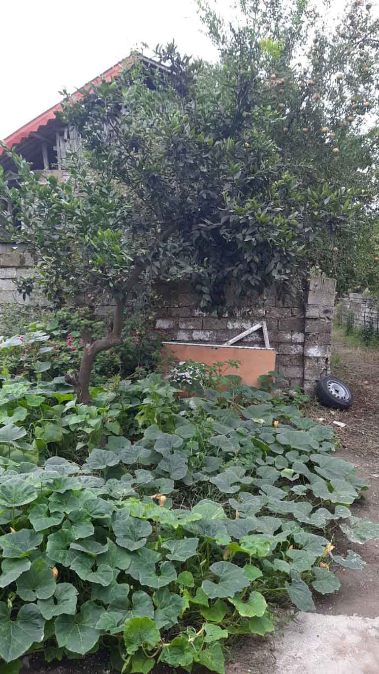 روستای فتیده لنگرود