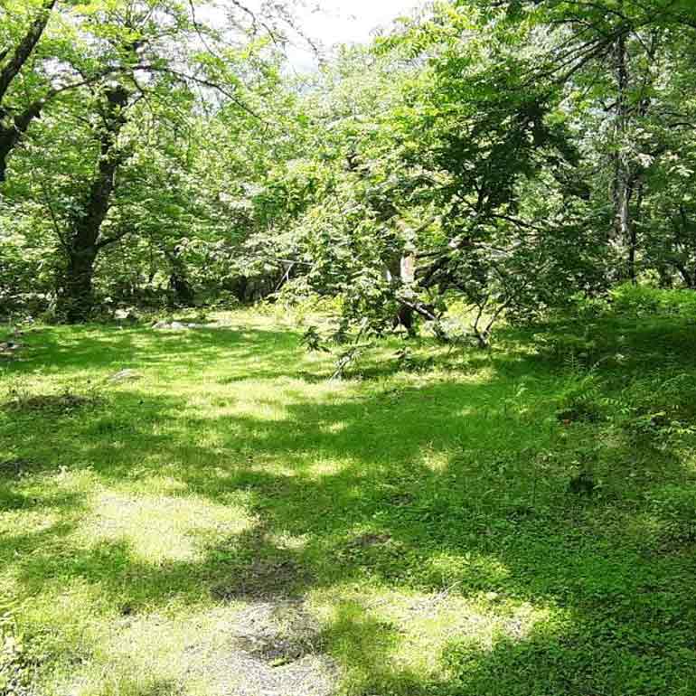 روستای بلوردکان