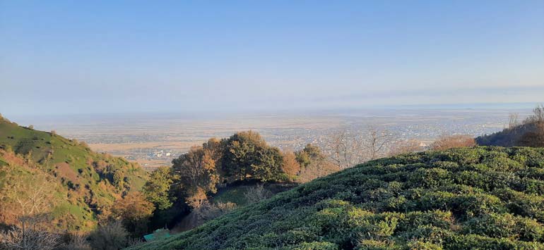 لیلا کوه