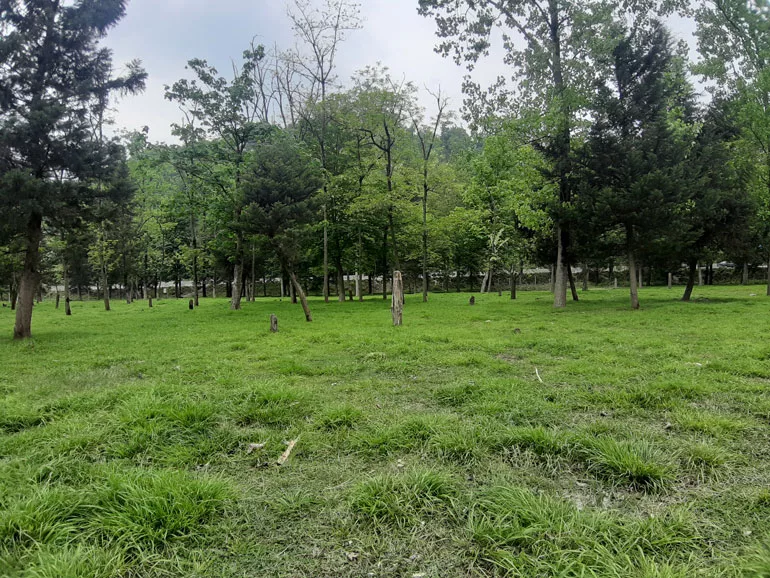 شهر آمل؛ سفر به تکهای از بهشت 57 o▌¬ ¼aa▌i a▌i▌▌o ¬ea¬ oa google map jpg