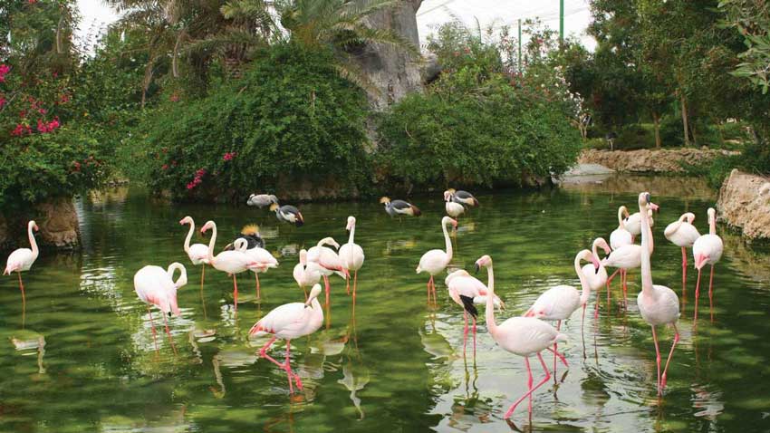 جاهای دیدنی مشهد پارک ملت